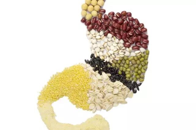 長(zhǎng)夏養(yǎng)生，吃出好“ 胃”口！